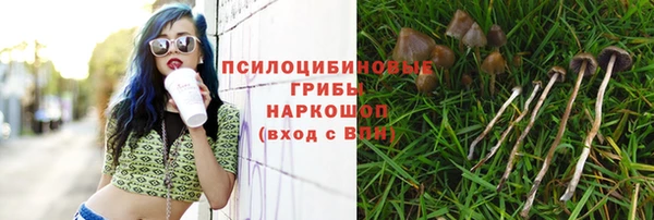 гашишное масло Верея
